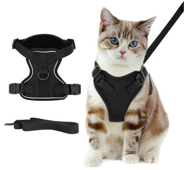 Nobleza kattenharnas met riem